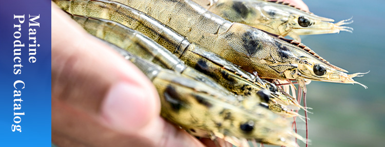 Fisheries product catalog