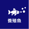 養殖魚